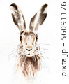 Easter bunnies watercolor illustration, rabbit 56091176
