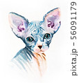 realistic painting, drawing on a T-shirt 56091179