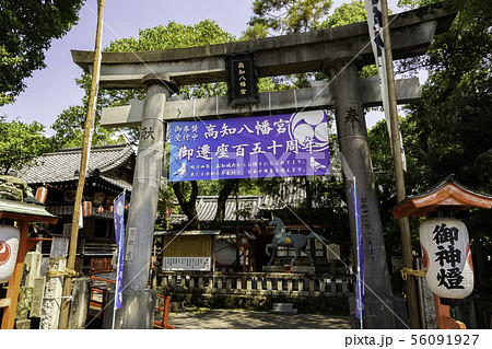 高知八幡宮　鳥居　高知県高知市 56091927