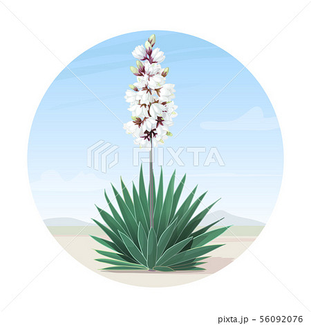 vector cartoon plants clip art vector cartoon plants clip art 56092076