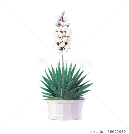 vector cartoon plants clip art vector cartoon plants clip art 56092080