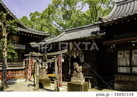 高知八幡宮 恵比寿神社 高知県高知市 高知八幡宮 恵比寿神社 高知県高知市 56092338