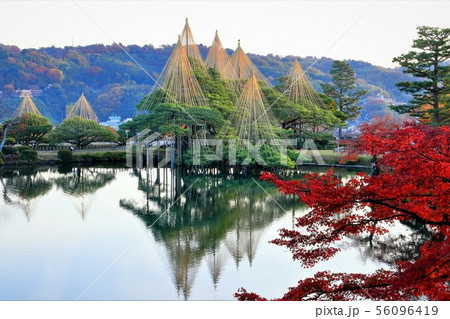 紅葉の兼六園 紅葉の兼六園 56096419