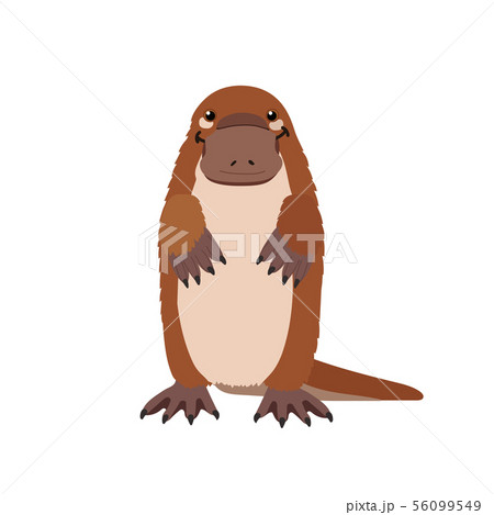 vector flat cartoon animal clip art 56099549
