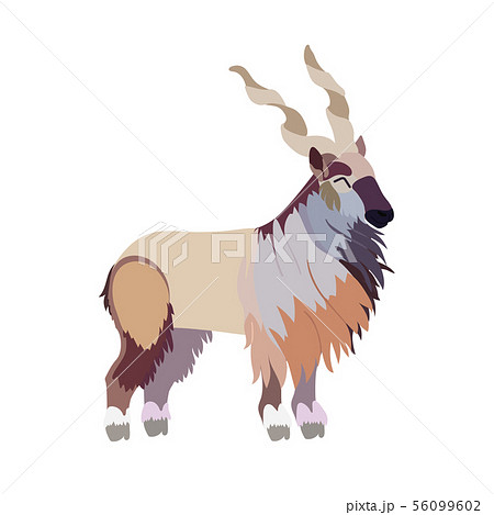 vector flat cartoon animal clip art 56099602