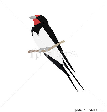 vector flat cartoon animal clip art 56099605