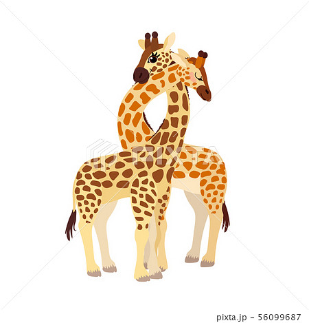 vector flat cartoon animal clip art 56099687