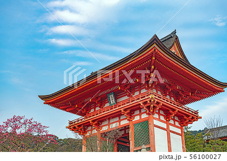 京都 清水寺 仁王門 京都 清水寺 仁王門 56100027