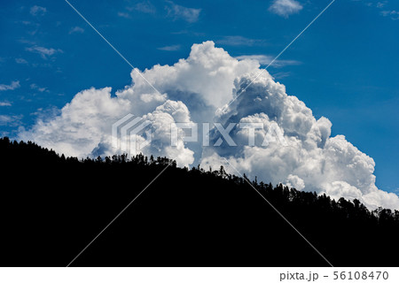 Silhouette of forest with blue sky and clouds 56108470