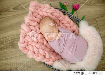 newborn baby girl in pink blanket in a basket 56109358
