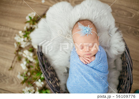 newborn baby girl in blue blanket in a  basket 56109776