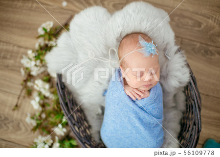 newborn baby girl in blue blanket in a basket newborn baby girl in blue blanket in a basket 56109778