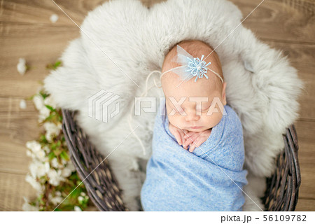 newborn baby girl in blue blanket in a  basket 56109782