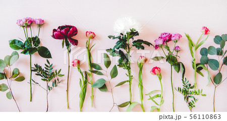 Flat-lay of purple peonies, pink roses, tulips 56110863