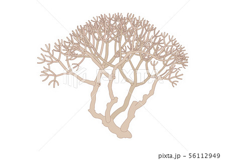 vector hand drawn plant clip art 56112949