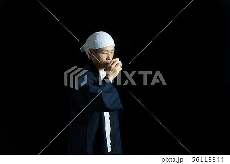 杜氏 56113344
