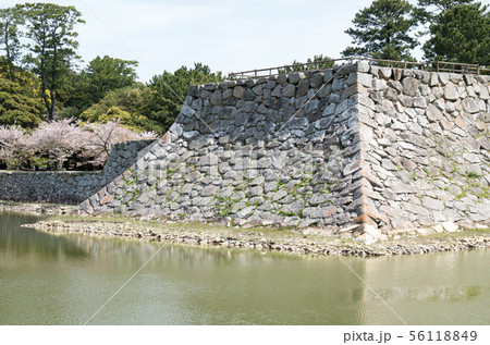 史跡萩城址の石垣と堀 史跡萩城址の石垣と堀 56118849