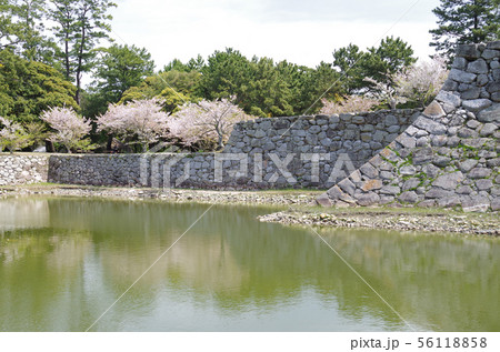 史跡萩城址の石垣と堀 56118858