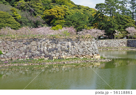 史跡萩城址の石垣と堀 史跡萩城址の石垣と堀 56118861