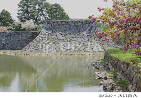 史跡萩城址の石垣と堀 史跡萩城址の石垣と堀 56118876