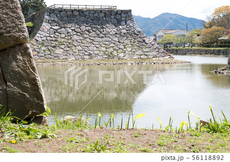 史跡萩城址の石垣と堀 56118892