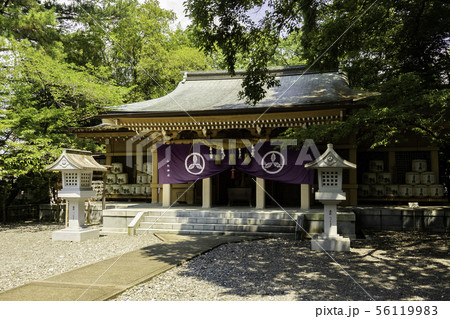 山内神社　社殿　高知県高知市 56119983