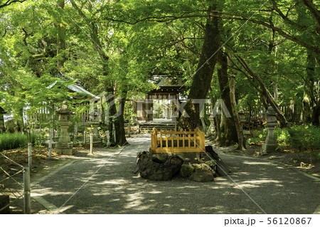山内神社 東参道 高知県高知市 山内神社 東参道 高知県高知市 56120867