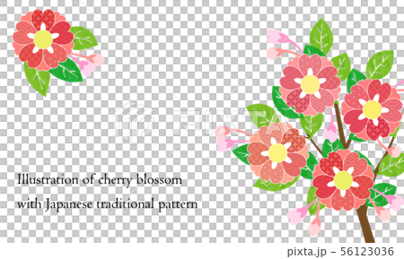 和柄パターンの桜のイラスト 56123036
