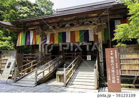 竹林寺 本堂 四国霊場第三十一番札所 高知県高知市 竹林寺 本堂 四国霊場第三十一番札所 高知県高知市 56123109