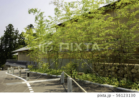 竹林寺 牧野植物園側入口 四国霊場第三十一番札所 高知県高知市 竹林寺 牧野植物園側入口 四国霊場第三十一番札所 高知県高知市 56123130