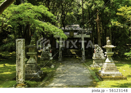 竹林寺　日吉神社　四国霊場第三十一番札所　高知県高知市 56123148