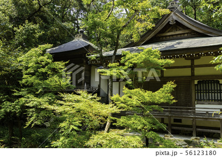 竹林寺 船岡堂 四国霊場第三十一番札所 高知県高知市 竹林寺 船岡堂 四国霊場第三十一番札所 高知県高知市 56123180