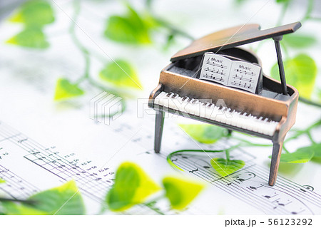 グランドピアノ　【さわやかイメージ　室内スタジオ撮影】 56123292