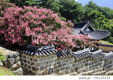 韓国の風景 祠堂 タイル 56123334