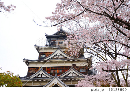 城を彩る桜 城を彩る桜 56123699