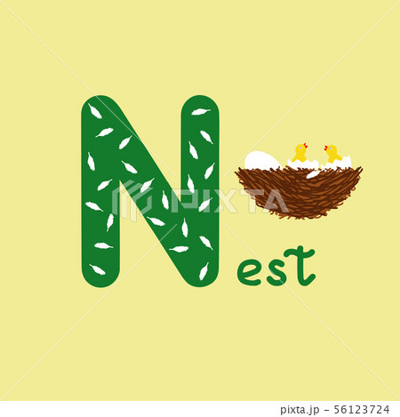 English alphabet for children education, letter N 56123724