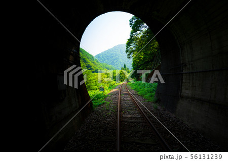 レールマウンテンバイク ガッタンゴー トンネルの風景(渓谷コース) レールマウンテンバイク ガッタンゴー トンネルの風景(渓谷コース) 56131239