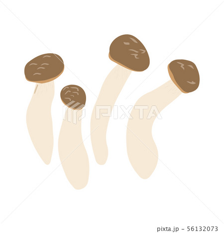 Shimeji mushrooms or beech mushrooms 56132073