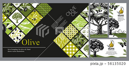 Olive tree, olives and jug with oil. Hand drawn vector illustrations. 56135020