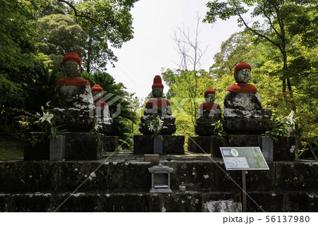 竹林寺　五智如来　四国霊場第三十一番札所　高知県高知市 56137980
