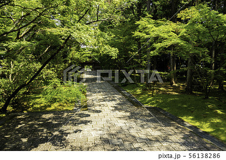 竹林寺　境内　四国霊場第三十一番札所　高知県高知市 56138286