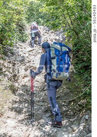 登山 トレッキング シニア 登山 トレッキング シニア 56140493