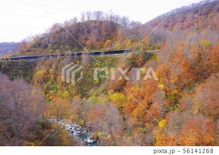 秋田県仙北市　玉川温泉大橋から見た終盤の紅葉 56141268