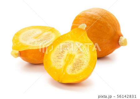 コリンキー 56142831