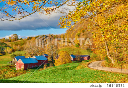 Jenne Farm with barn at sunny autumn morning 56146531