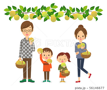 梨狩りをする親子　02　全身 56146677