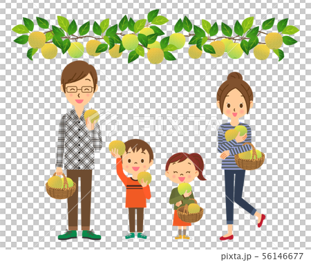 梨狩りをする親子　02　全身 56146677