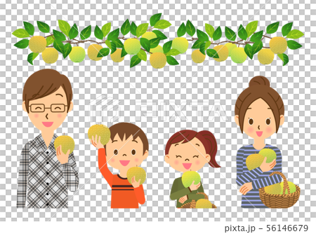 Pear picking parent and child 02 upper body 56146679