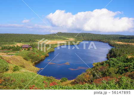 岩手県八幡平市　八幡沼 56147895