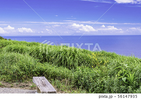 (静岡県)奥石廊崎あいあい岬のユウスゲと伊豆諸島 (静岡県)奥石廊崎あいあい岬のユウスゲと伊豆諸島 56147935